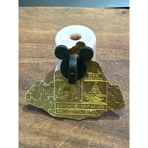 Shanghai Roaring Rapids Mountain Disney Trading Pin Authentic Limited Edition - Picture 2 of 4